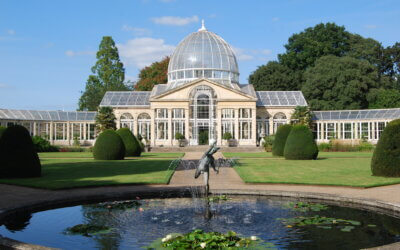 The Great Conservatory at Syon House